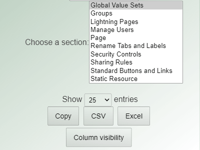 Salesforce Audit Trail file viewer